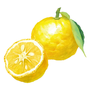 Yuzu